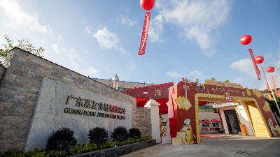 “莺迁新嘉，群星汇聚”嘉友食品多彩活动盛情开展（下）