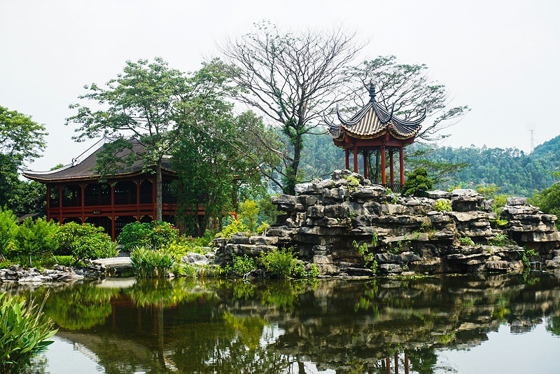 嘉友顺德美食之旅，用优质食品传递幸福，建设具匠心且快乐的团队 (2)