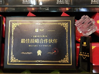 嘉友食品-2019年获得最佳战略合作奖